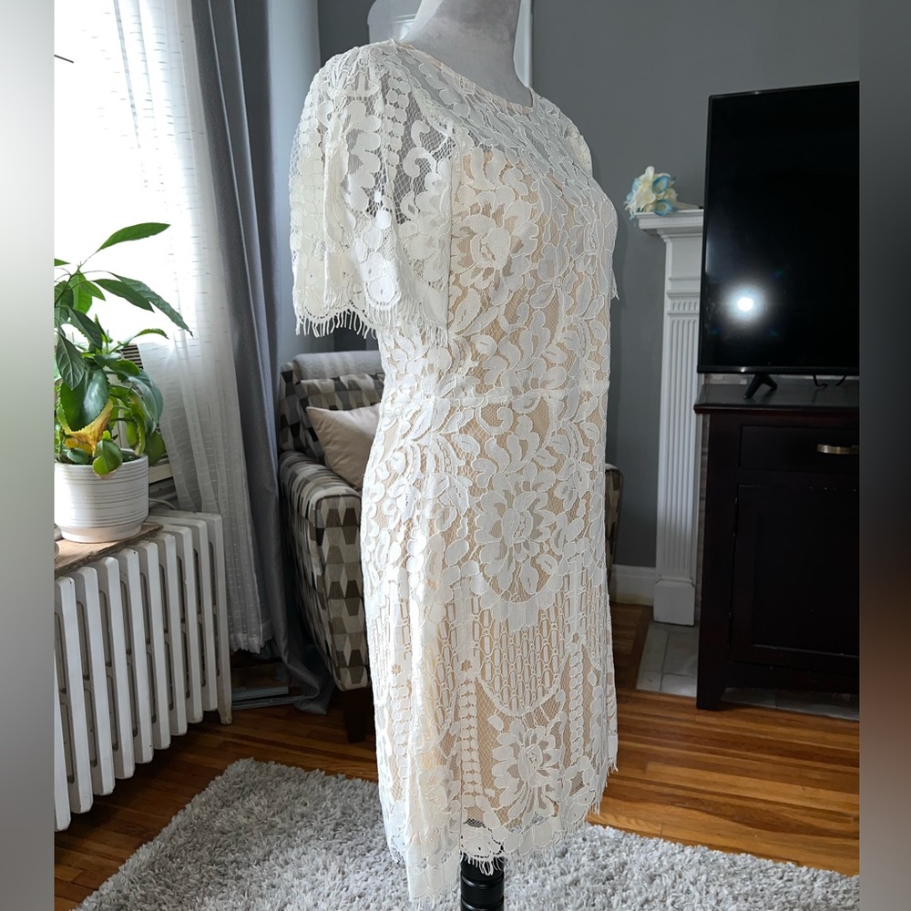 ❤️LULUS lace cream colored dress - sheer lined size medium - Picture 2 of 12
